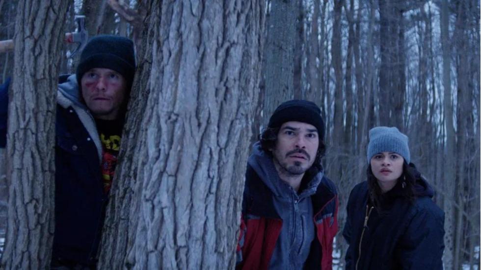 A group of guys stand amongst the trees looking on
