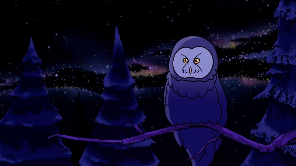 Barn owl at night