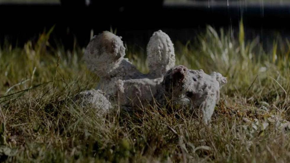 Acide film still stuffed animal bunny in the grass.