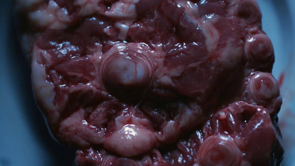 AGATHA film still nasty meat