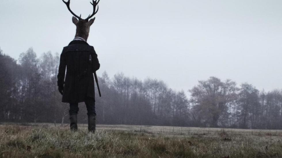 Anonymous Animals buck shot