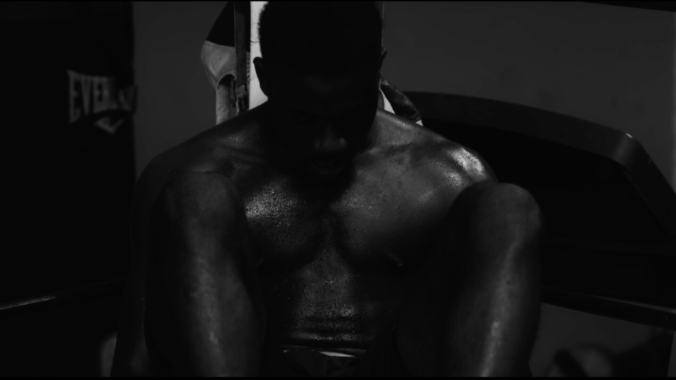 A boxer sits 