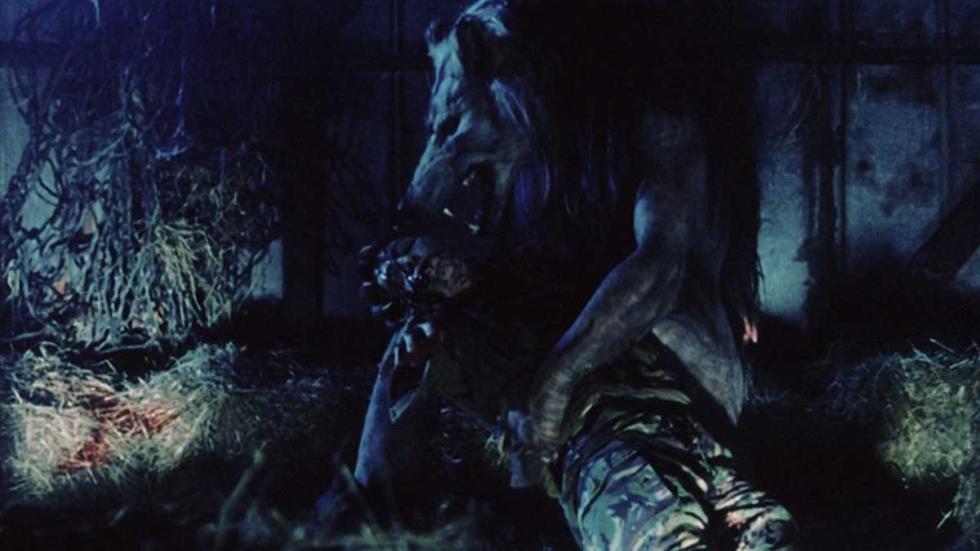 Dog Soldiers
