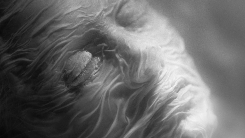 A woman draped in light cloth
