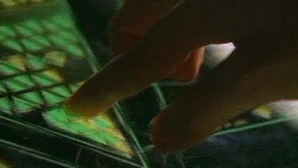 E.V.E finger punches a keyboard screen
