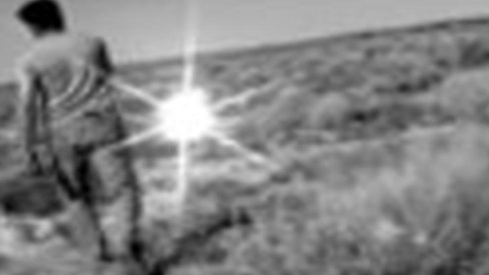 Highway 213 man Frank walks in the hot dessert