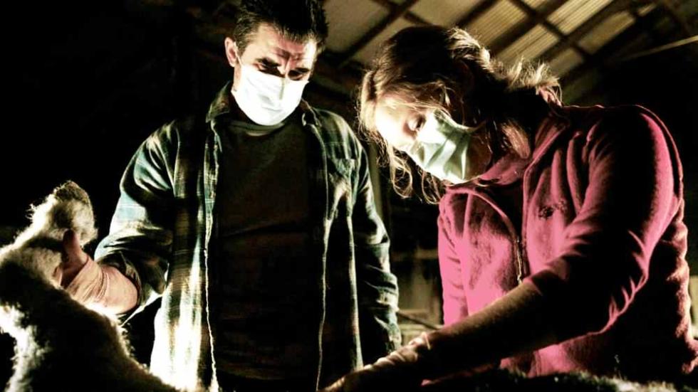 Isolation a man and woman autopsy an animal