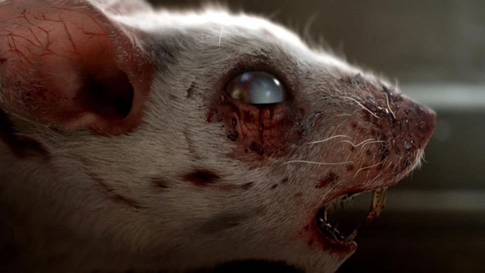 Quenottes (Pearlies) film still rabid looking rat