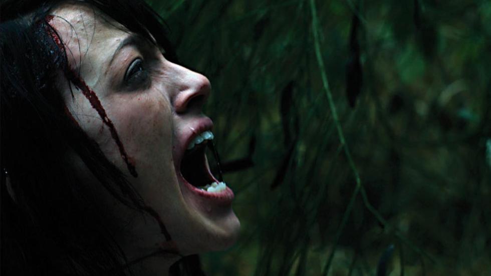 Rogue River woman screams